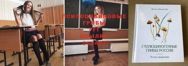 молекула духа Зеленодольск
